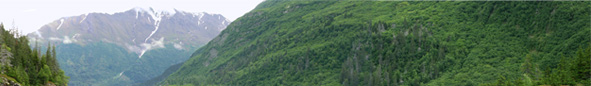 Kenai Hdro