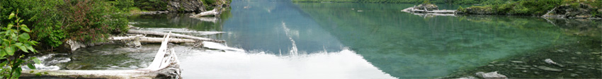 Kenai Hydro